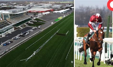 Grand National 2019 latest odds for every runner at Aintree.